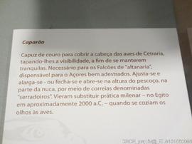 Fotografia 015