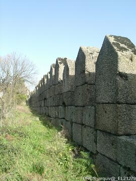 Fotografia 001
