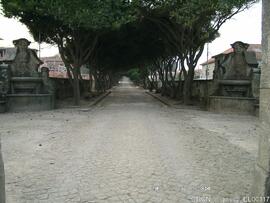 Fotografia 001