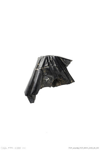 Open original Digital object