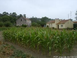 Fotografia: imovel e area envolvente