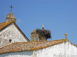 Fotografia 001