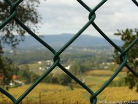 Fotografia 029