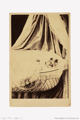 Álbum com fotografias famílias reais europeias