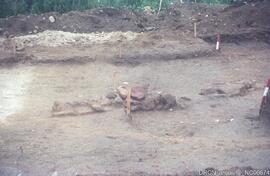 Destruição do Castro