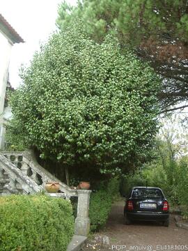 Fotografia do exterior do imovel