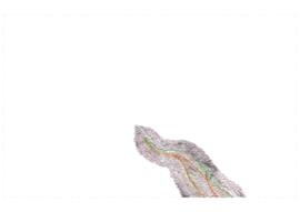 Levantamento topográfico (2015)