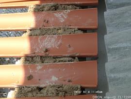 Acompanhamento da Intervenção de Obras - Fotografia 018