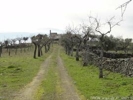 Envolvente – Capela