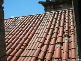 Fotografia 019