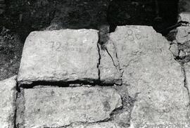 Fotografia 006