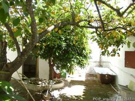Fotografia 016