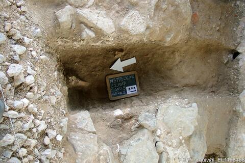 Open original Digital object