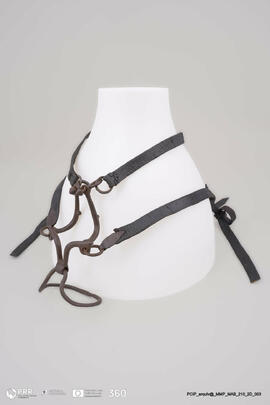 Freio das maldizentes