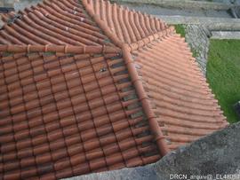 Fotografia 019