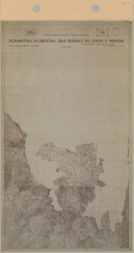 Perímetro Florestal - 8B [s.d.]