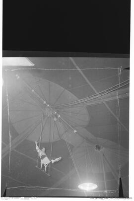 Sem Título