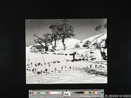 Paisagem com neve