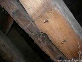 Fotografia (interior do imovel)