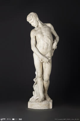 Narciso