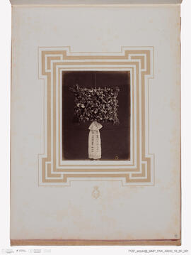 Álbum de fotografias morte rei Vítor Emanuel II