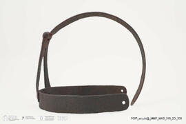 Freio das maldizentes