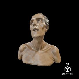 Busto de Homem