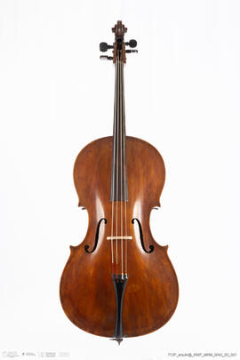 Violoncelo