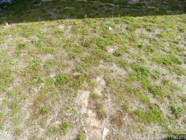 Imediações / Área envolvente