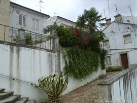 Fotografia (exterior)