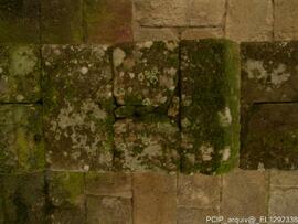 Imediações / área envolvente