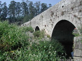 Fotografia 009