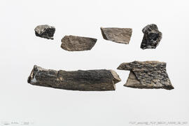 Seis fragmentos de azeviche em bruto