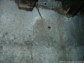 Fotografia 013
