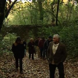 Visita à cerca do Mosteiro