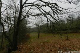 Fotografia