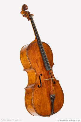 Violoncelo