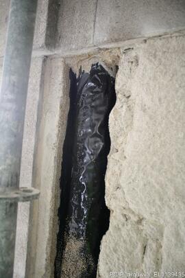 Fotografia 002