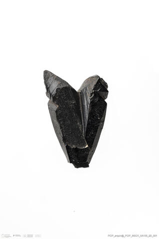 Open original Digital object