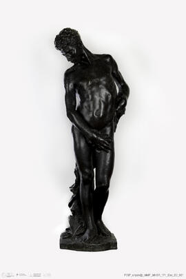 Narciso