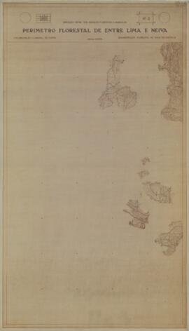 Perímetro Florestal - 41 D [s.d.]