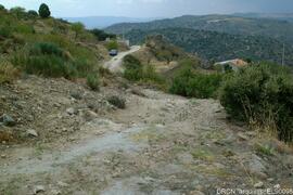 Fotografia 006
