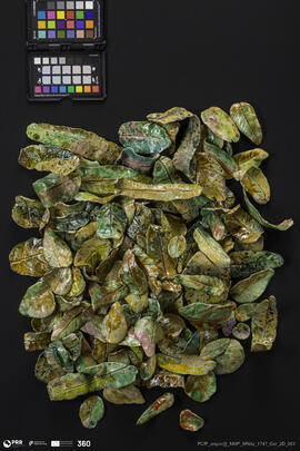 Folhas (instalação)