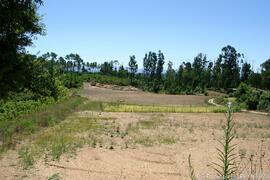 Fotografia do local e imediações