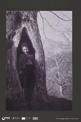 Retrato de criança posando no interior de um tronco de castanheiro