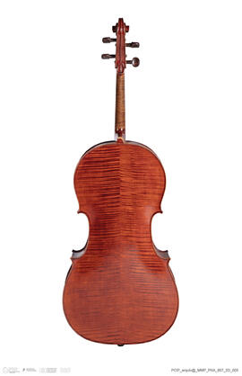 Violoncelo