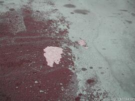 Intervenção de conservação e restauro