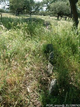 Fotografia 003