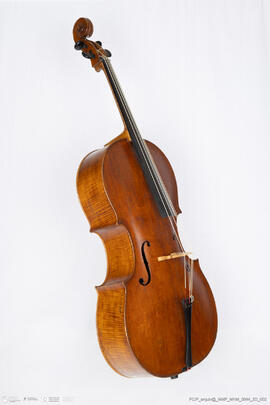 Violoncelo