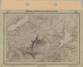 Perímetro Florestal - Planta Aerofogramétrica (1959-04)